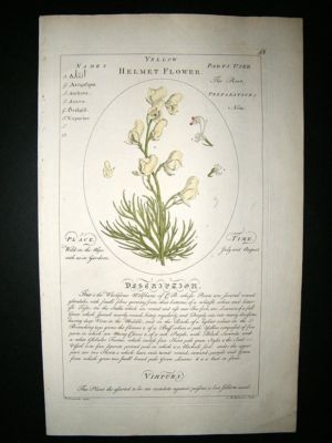 Sheldrake: 1759 Medical Botany. Yellow Helmet Flower. Hand Col