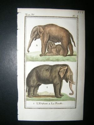 Buffon: C1780 Elephant, Hand Color Print