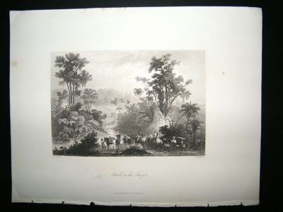Brazil: 1847 Steel Engraving, Travels in the Brazils, Antique Print