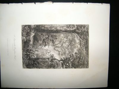 Brazil: 1847 Steel Engraving, Tiger Hunt in Brazilian Rainforest, Antique Print