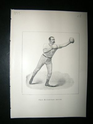 Boxing Print: 1893 Left Hand Lead-Off