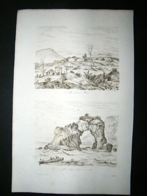 New Zealand:1834 Etching, Paroa, Antique Print.