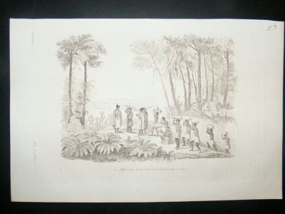 New Zealand: 1834 etching. Missionaries, Antique Print