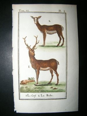 Buffon: C1780 Deer., Hand Color Print