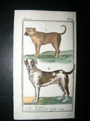 Buffon: C1780 Dogs, Hand Color Print