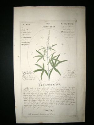 Sheldrake: 1759 Medical Botany. The Chast Tree. Hand Col