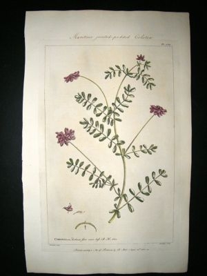 Miller: 1760 Folio Hand Col Botanical. Coronilla. Antique Print