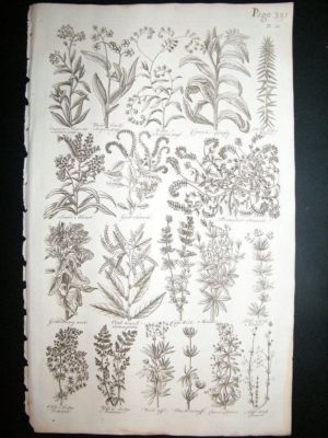 Hill: 1758 Turnsole, etc, Folio Botanical