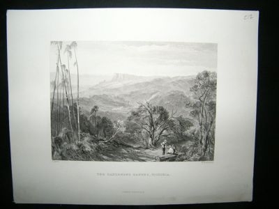 Australia: 1876 Steel Engraving, Dandenong Ranges, Vict