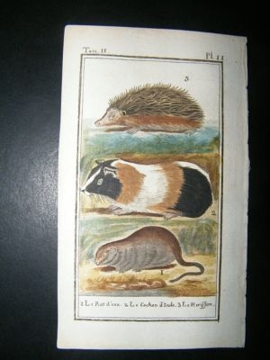 Buffon: C1780 Rat, Hedgehog, Hand Color Print