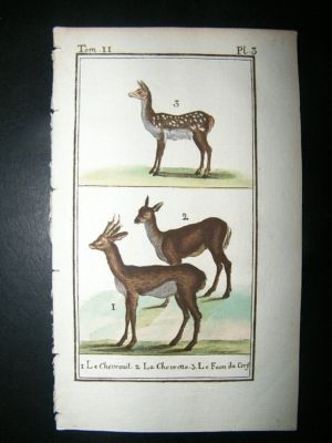 Buffon: C1780 Deer, Hand Color Print