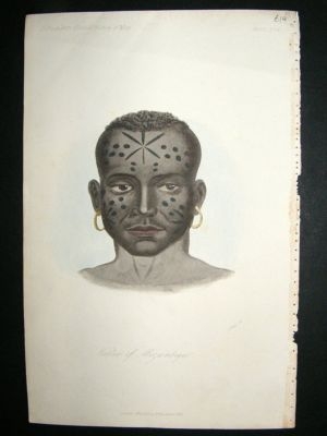 Africa Mozambique:1842 Hand Coloured Print, Prichard.