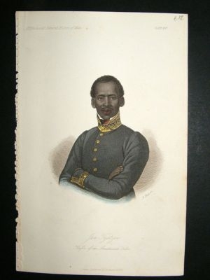 South Africa:1842 Hand Col Print. Kaffir Of Anakosah Tr