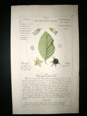 Sheldrake: 1759 Medical Botany. Dwale or Deadly Nightshade. Hand Col
