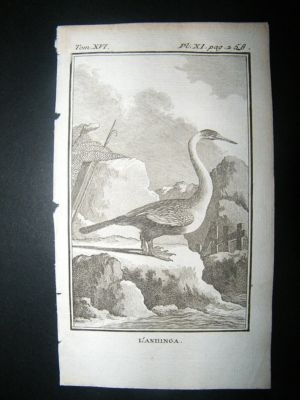 Bird Print: 1781 Anhinga, Buffon Copper Plate