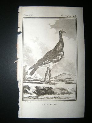 Bird Print: 1780 Kamichi, Buffon Copper Plate