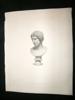 Sculpture: 1845 Head Of An Amazon, British Museum