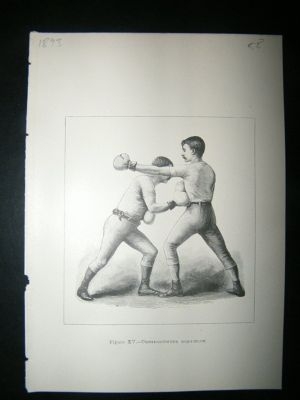 Boxing Print: 1893 Corss counter body blow