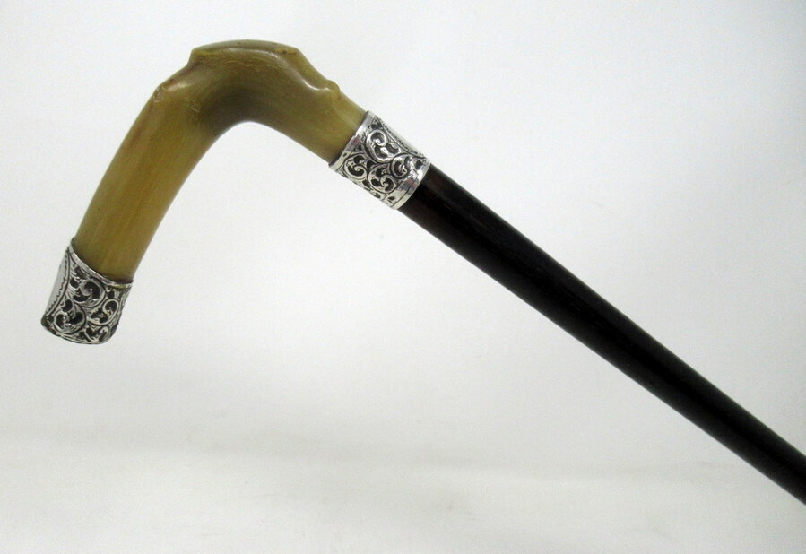 Antique Antique Walking Stick Cane Ebonised Sterling Silver Cow Horn Handle 1906