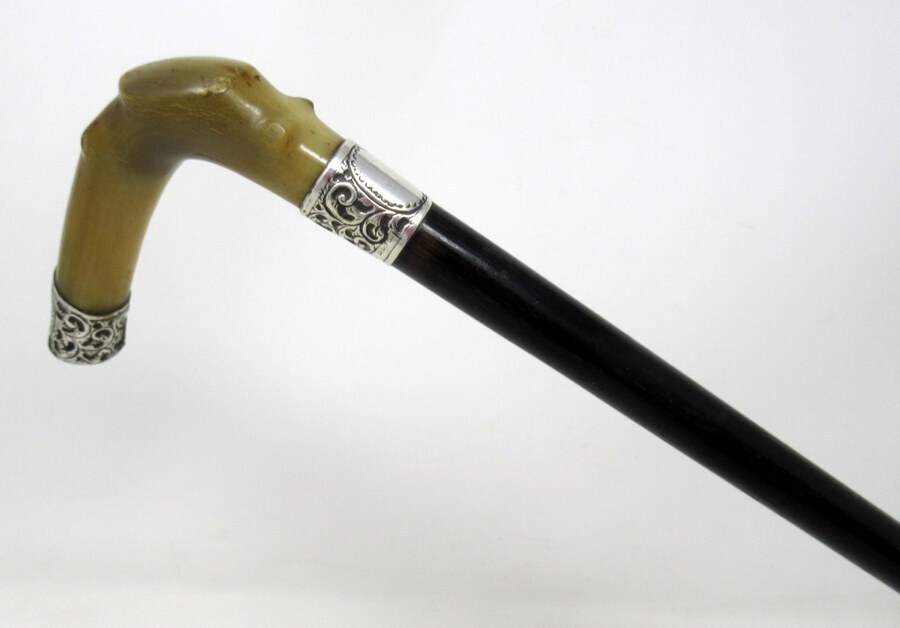 Antique Antique Walking Stick Cane Ebonised Sterling Silver Cow Horn Handle 1906