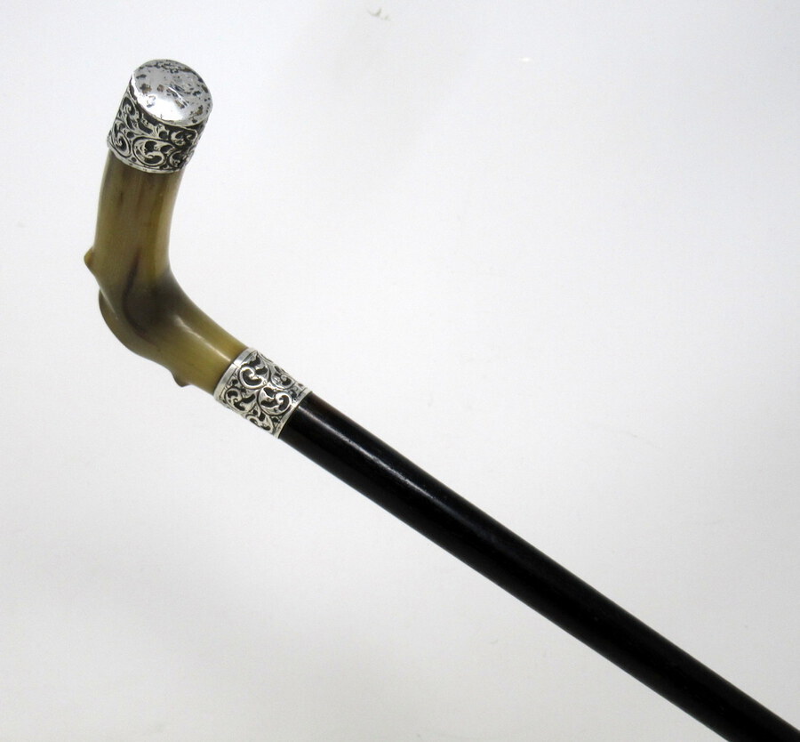 Antique Antique Walking Stick Cane Ebonised Sterling Silver Cow Horn Handle 1906