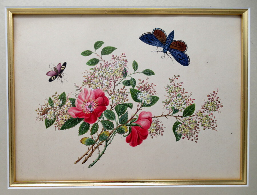 Antique Antique Vintage Pair of English Watercolor Paintings Still Life of Flowers Gilt