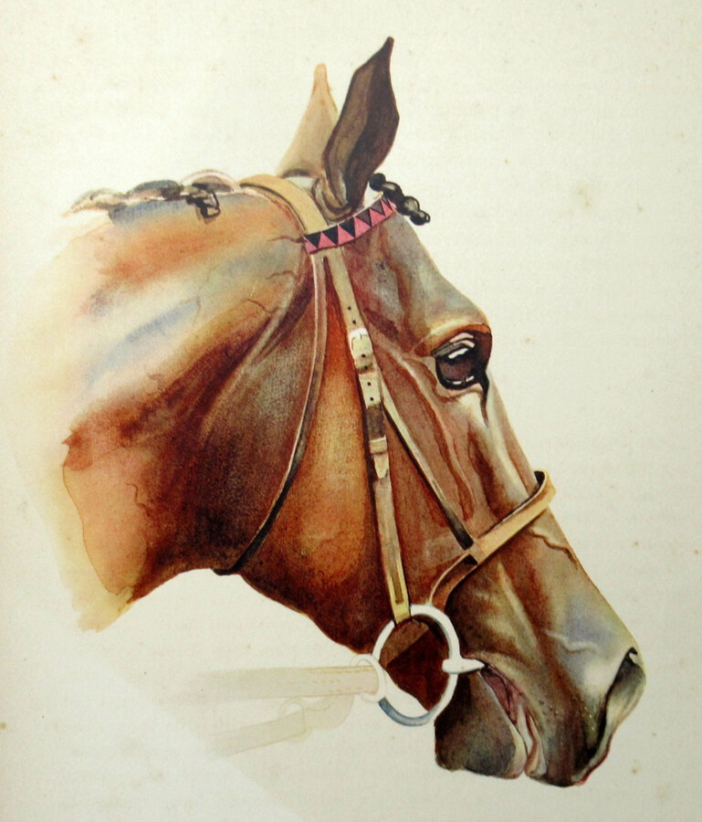 Antique Equine Racehorse Painting SIR GALLAHAD French Thoroughbred Horse Racing