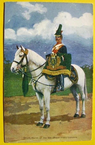 5th ROYAL IRISH LANCERS. Drum Horse. Post Card
