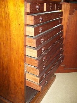 Antique Victorian Walnut Collectors Cabinet By 
