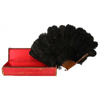 Ostrich Feather Fan With Box