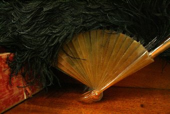 Antique Ostrich Feather Fan With Box