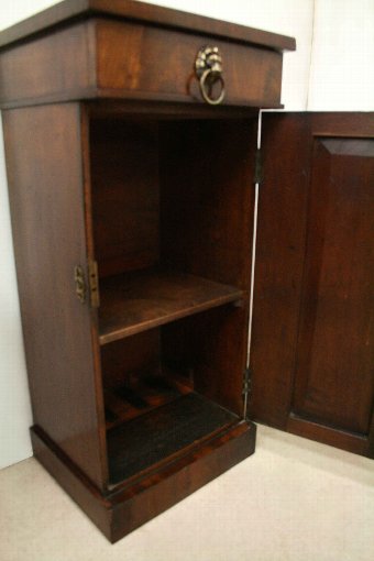 Antique Pair of Early Victorian Mahogany Pedestal Cabinets