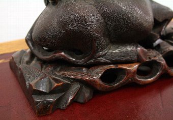 Antique Chinese Carved Water Buffalo/Oxen