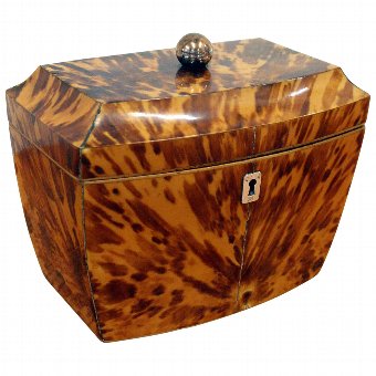 Regency Tortoiseshell Tea Caddy