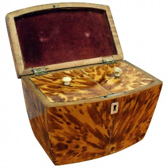 Antique Regency Tortoiseshell Tea Caddy