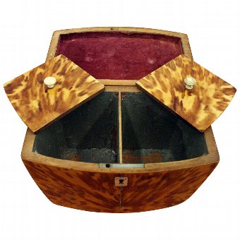 Antique Regency Tortoiseshell Tea Caddy