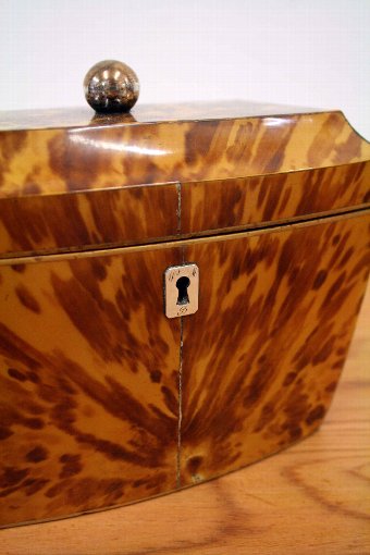 Antique Regency Tortoiseshell Tea Caddy
