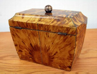 Antique Regency Tortoiseshell Tea Caddy