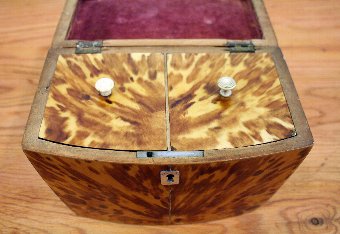 Antique Regency Tortoiseshell Tea Caddy