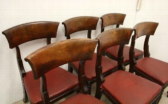 Antique Set of 6 William IV Mahogany Dining Chairs