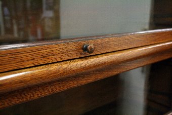Antique Globe Wernicke Oak Sectional/Stacking Bookcase