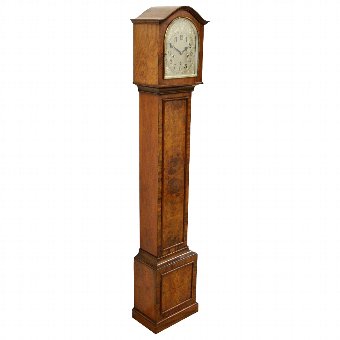 Burr Walnut Grandmother Clock
