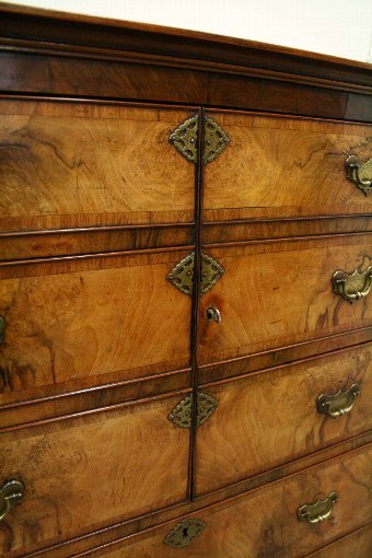 Antique Burr Walnut Tallboy/Cocktail Cabinet
