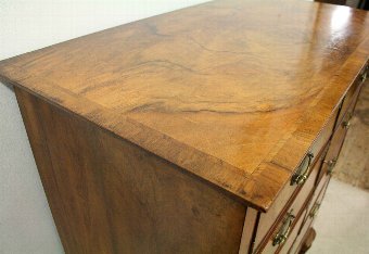 Antique Burr Walnut Tallboy/Cocktail Cabinet