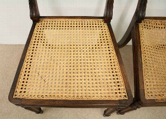 Antique Pair of Regency Rosewood Side Chairs