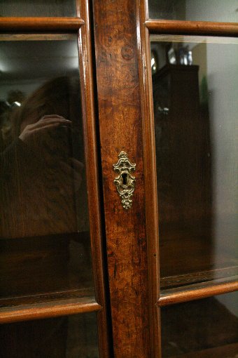 Antique Dutch Burr Wood Display Cabinet