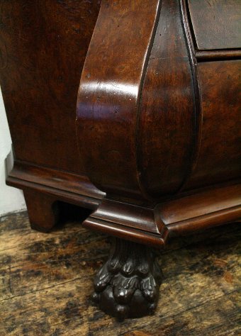 Antique Dutch Burr Wood Display Cabinet