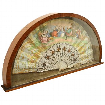 Paper Fan in Satinwood Display Case