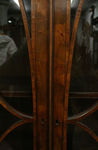 Antique George II Style Tulipwood Cabinet Bookcase