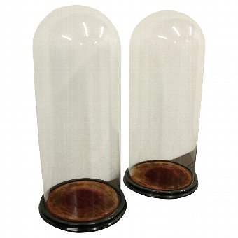 Pair of Victorian Glass Domes